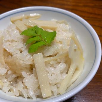 朝掘りタケノコの水煮 300g×5袋【クール便】 300g×5袋　計1500g 野菜/野菜の加工品通販