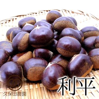 茨城のうまい栗（利平）約1kg 約1kg 果物/栗通販