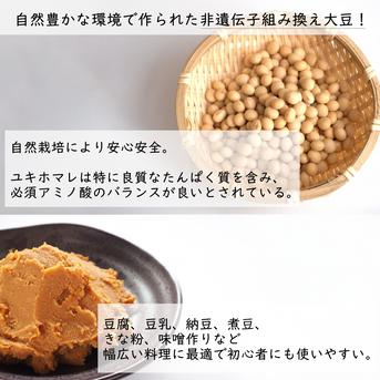 北海道十勝産】ユキホマレ 大豆 5kg 令和6年度産 ｜ 野菜/豆類 産直