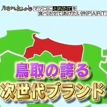 ご自宅用】鳥取県産 21世紀梨 2キロ ｜ 果物/梨 産直アウル 農家・漁師