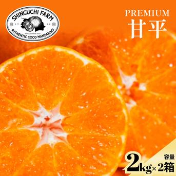 甘平⚠贈答用・特選 2L玉(3kgx2箱) 楽天市場】愛媛県産 甘平（かんぺい）秀品 L〜2Lサイズ（12〜15玉）約