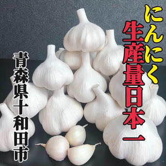 【大好評】届いたらすぐに食べられる楽ちん手間なし❗️青森ミネラルむきにんにく500g（サイズ混合） 500g 野菜/にんにく通販