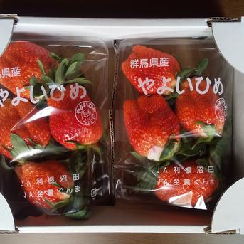 みまもるいちご🍓増量❗️【やよいひめ】中身おまかせレギュラーパック 290g×2パック(パック緩衝材を含みます。) 果物/いちご通販