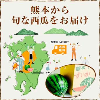 熊本県産 高級 すいか 西瓜 大玉 羅皇 スイート 赤 2玉入り 3L サイズ 箱込み 1玉あたり 8キロ以上 秀品（001） 完熟 ギフト プレゼント用 贈答用 お中元 お祝い お見舞い 果物 フルーツ【バイヤー推奨商品】  2玉入り 3L サイズ 箱込み 果物/スイカ通販
