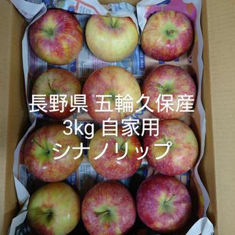 長野県 五輪久保産シナノリップ 3kg自家用 3kg 果物/りんご通販