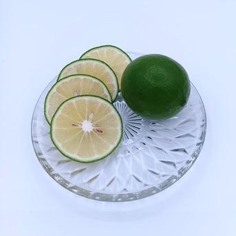 【ꕤ224】熊本県産『優品』20kg マイヤーレモン (国産グリーンレモン) 緑色のレモン『グリーン マイヤーレモン』【9.3kg】 ｜ 果物/香酸柑橘