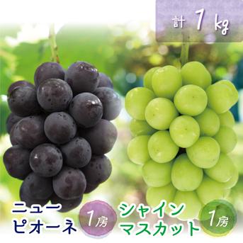 PS-1 花笑み農園 岡山の『ピオーネ＆シャインマスカット』1kg【9/18