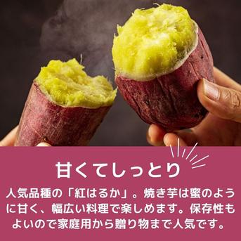 熟成芋】紅はるか お得な10kg（土付き） ｜ 野菜/さつまいも 産直