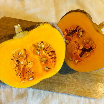 見た目も楽しめる！かぼちゃ詰め合わせセット3種＊固定種＊4.8kg