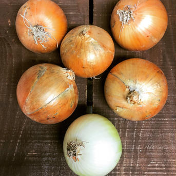 新物　味平かぼちゃ2玉　玉ねぎ5kg詰め合わせ 10kg弱 野菜/野菜セット・詰め合わせ通販