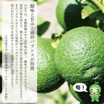 【お徳用・訳あり品】大分県宇佐市産かぼす約10kg 徳用種ありかぼす10kg 果物/香酸柑橘(ライム・レモン等)通販