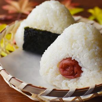 新米　令和6年長野県東御市産コシヒカリ　白米　10kg 10kg（5kg×2） 米・穀物/米/精米通販