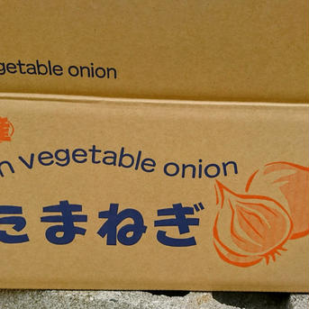 淡路島　玉ねぎ　ターザン　5kg  甘くて美味しい！ L.2Lサイズ　混合5kg 野菜/玉ねぎ通販