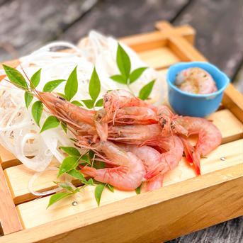 【料理の救世主】トロけるような食感と美味！珊瑚色したトロえび中小1.6kg トロえび中小1.6kg (1pc/70-80尾前後） 魚介類/エビ通販
