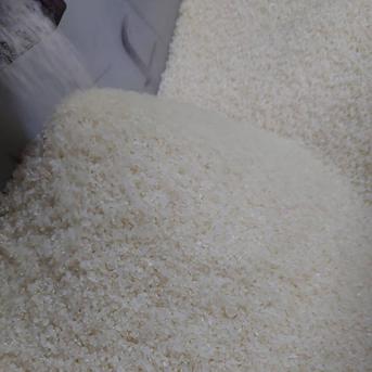 新米【白米10kg】令和7年度 宮城県産ひとめぼれ「環境保全米」 ｜ 米 