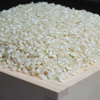 令和7年産ミルキークイーンミネラル仕上げ炊飯食味値91点玄米10kg