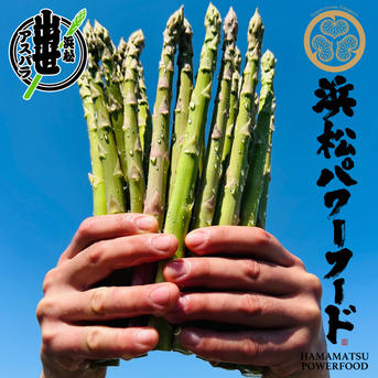 糖度9.5】朝採りアスパラ 訳あり品 L〜3Lサイズ混合 ｜ 野菜/アスパラ