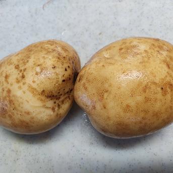 数量限定｜超大玉ニシユタカ食べ応え抜群｜【3L以上】約8kg｜迫力