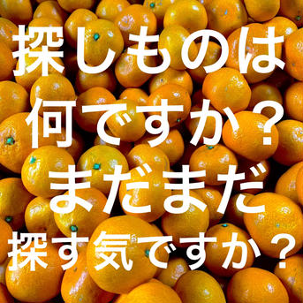 久喜みかん 【2S-S】10kg【箱込】 果物/温州みかん通販