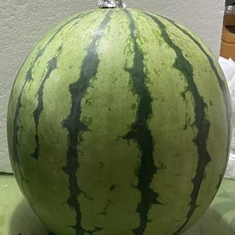 兵庫産　チャンピョン　大玉スイカ　8200ｇ　訳あり ８２００ｇ 果物/スイカ通販