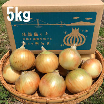 訳あり　淡路島産冷蔵玉ねぎ　5kg 5kg 野菜/玉ねぎ通販