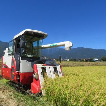 令和8年長野県産ミルキークイーン白米10kgこだわりのミネラル仕上げ