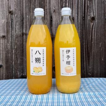 瀬戸内島いよかんジュース いよかん100％ストレート ｜ 飲料/飲料