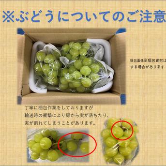 家庭用】シャインマスカット2kg ｜ 果物/ぶどう 産直アウル 農家・漁師