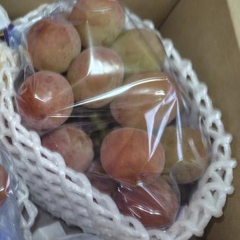 高畠町産☆悟紅玉（ゴルビー）60サイズ 二房 ｜ 果物/ぶどう 産直