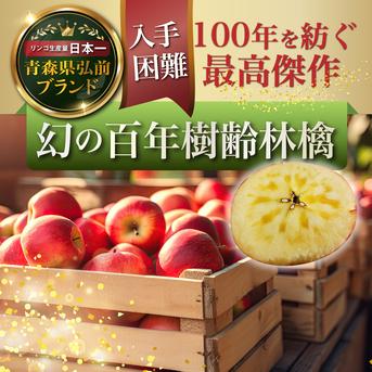 🍎日テレDayDay出演話題沸騰🍎わずか1%の奇跡『幻の百年樹齢林檎』 【贈答用】幻の百年樹齢林檎3個 果物/りんご通販