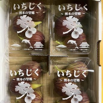 イチジク　2箱　8パック　1パック（250g）3玉から4玉　いちじく　無花果 2箱（8パック） 果物/いちじく通販