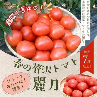 糖度7度以上】季節限定の贅沢トマト「麗月」1K箱 ｜ 野菜/トマト 産直