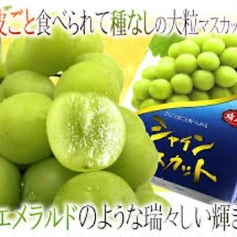 ご家庭用 フルーツ王国・岡山県産シャインマスカット 2㎏以上（3～4房 化粧箱入り） 2㎏ 果物/ぶどう通販