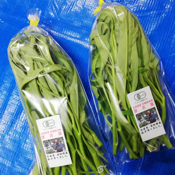 【兵庫県産】クウシンサイ100g×2袋、モロヘイヤ100g×2袋、ツルムラサキ150g×2袋のセット 700g 野菜/野菜セット・詰め合わせ通販
