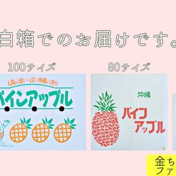 【とろける優しさ】乳白のパイン『ホワイトココ』4玉(約4.0kg) パイナップル『ホワイトココ』約4.0kg標準4玉 果物/パイナップル通販