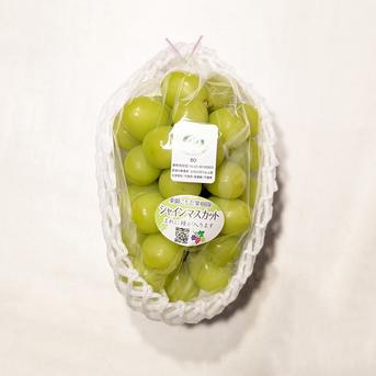 プレミアムギフト】クイーンルージュ約500gとシャインマスカット約500g ①黄色シャイン（2キロ~）②贈答用黄色シャイン、クイーンルージュ®︎ （2キロ~）