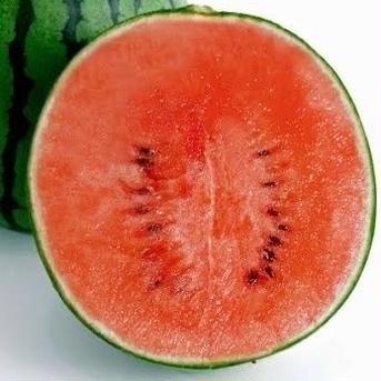 はなまる農園の　小玉すいか　2玉 2玉 果物/スイカ通販