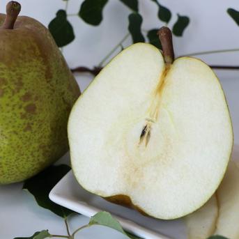山形県産 特選ラ・フランス】5kg（24～20玉）🍐芳醇な香り