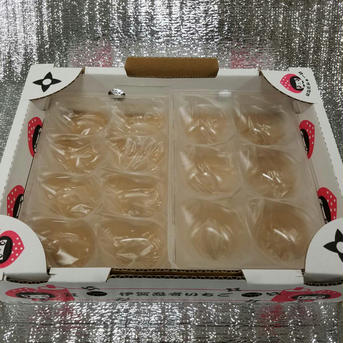 【送料無料キャンペーン中】『プレミアムモカベリー 』　苺　イチゴ 一箱 苺のみ約540g【約270g×2パック(1パック6粒or8粒)】化粧箱入り 果物/いちご通販