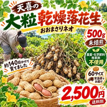 農薬・化学肥料・除草剤不使用｜大粒おおまさりネオの殻付き乾燥落花生