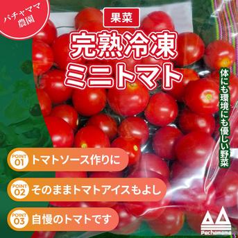 完熟冷凍ミニトマト 1.8kg パチャママ農園 ｜ 野菜/トマト 産直
