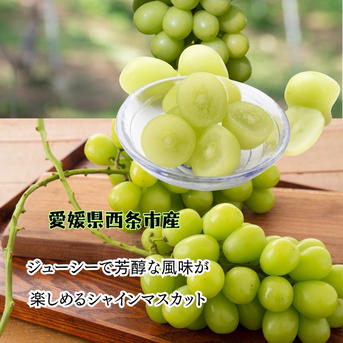 安心のクール便発送　山梨県産 大粒　シャインマスカット　4kg　7～8房 安心のクール便発送 山梨県産 大粒 シャインマスカット 4kg 7～8