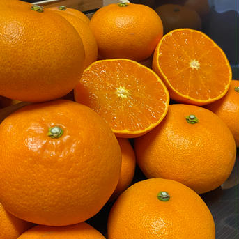 【愛媛県産せとか】春の王様🍊登場🍊（3.0k入） 3.0k 果物/オレンジ・その他みかん通販