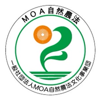 MOA自然農法 訳あり品 紫菊芋 5kg ｜ 野菜/その他野菜 産直アウル 農家