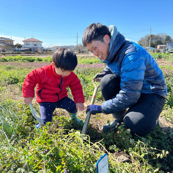 土付きエシャレット800g 農薬・化学肥料不使用【鮮度保持】 白800g 野菜/その他野菜通販