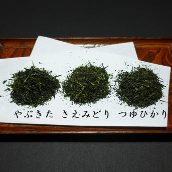 新茶リーフ】特上煎茶 3種セット （やぶきた・さえみどり・つゆひかり