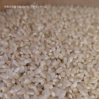 きぬひかり【玄米】10kg 新米 令和8年産 農薬5割減 京都府京丹波町産