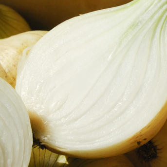 早割り】淡路島 新玉ねぎ スイートオニオン 2.5kg ｜ 野菜/玉ねぎ 産直