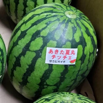 甘い！うまい！小玉スイカだけどデカい！＜大玉１個＞ 約3kg 果物/スイカ通販