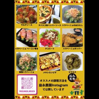 うま辛ハラペーニョ1.5kg 1.5kg 野菜/スパイス通販